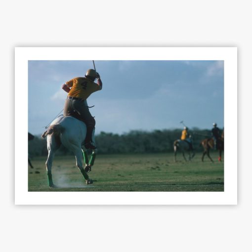 Polo Match - Image 2