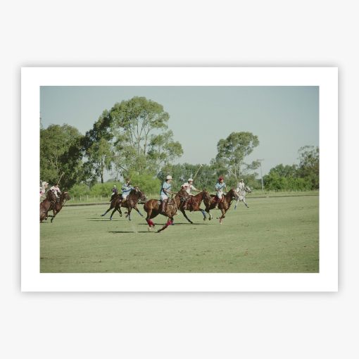 Polo Match - Image 2