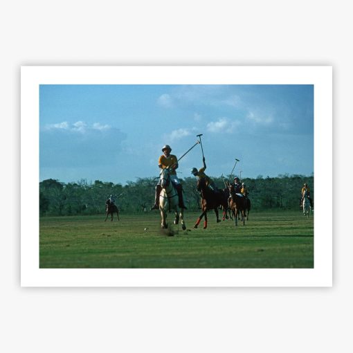 Polo Match - Image 2