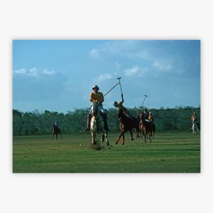 Polo Match
