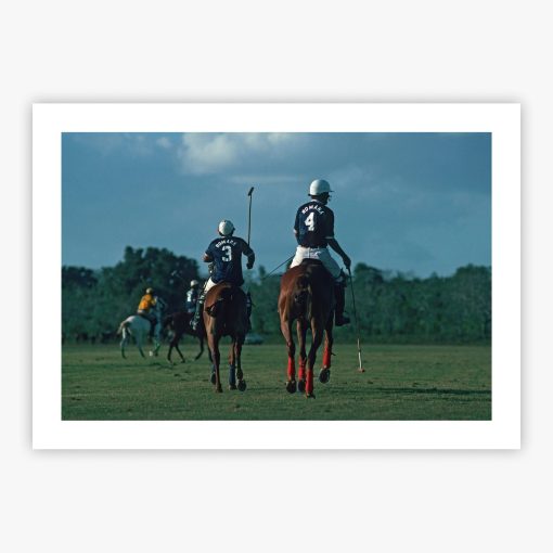 Polo Match - Image 2