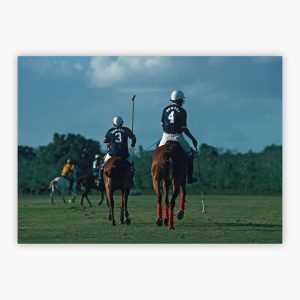 Polo Match