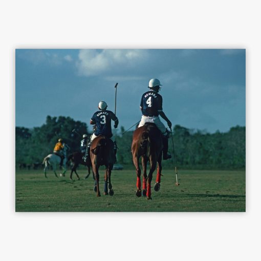 Polo Match