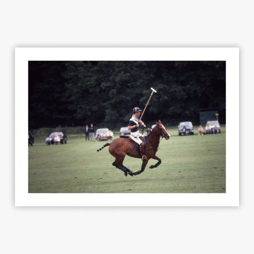 Polo Prince - Image 2