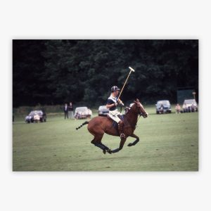Polo Prince
