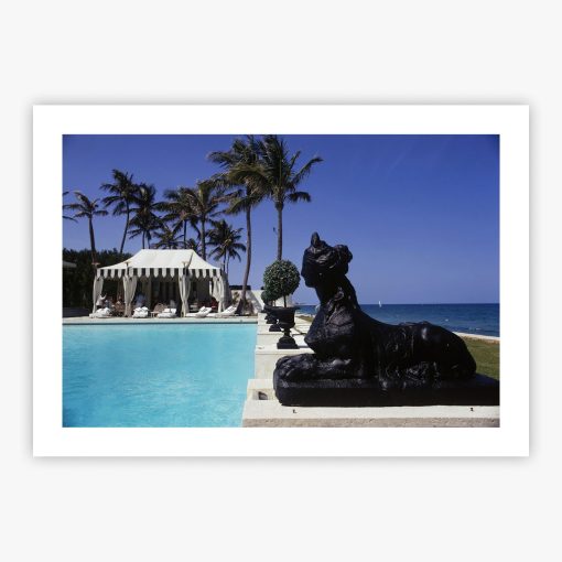 Poolside Luncheon - Image 2