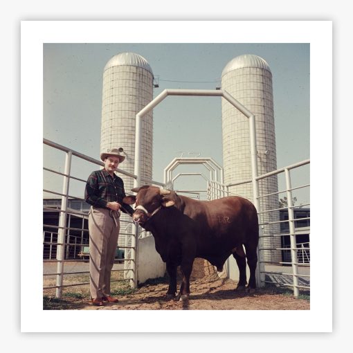 Rockefeller And Bull - Image 2