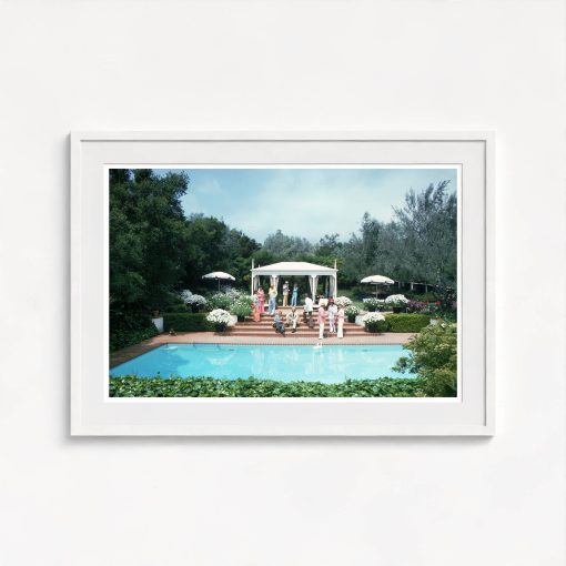 California Pool Party - Image 5