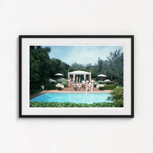 California Pool Party - Image 3