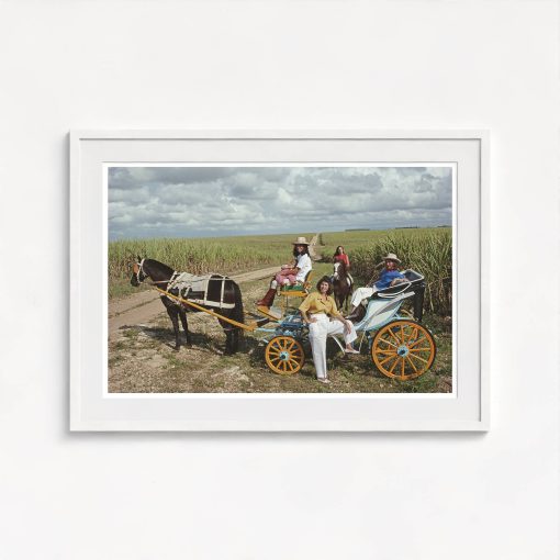 Fanjul Family Outing - Image 5