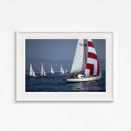 Flotilla - Image 5