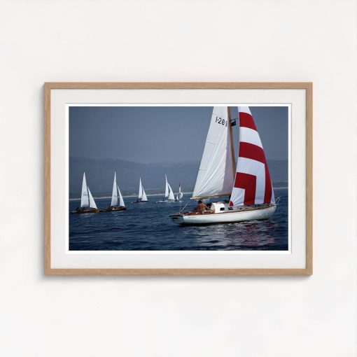 Flotilla - Image 7