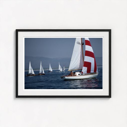 Flotilla - Image 3