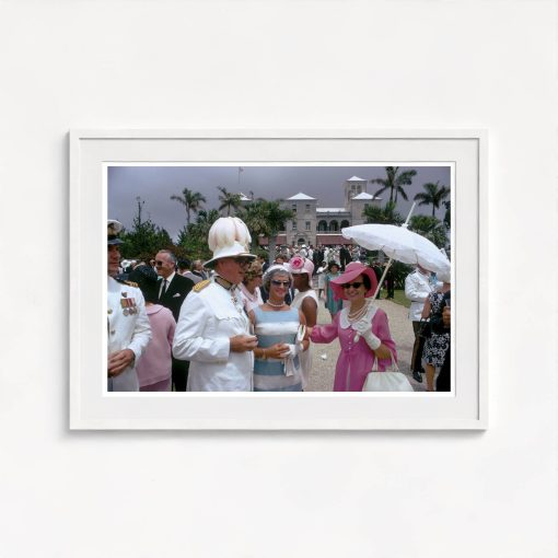Government Party - Image 5