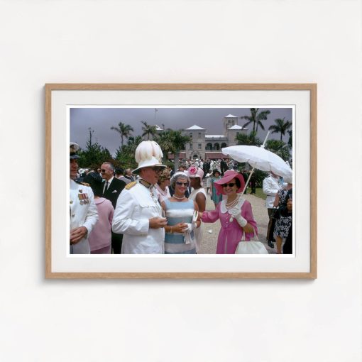 Government Party - Image 7