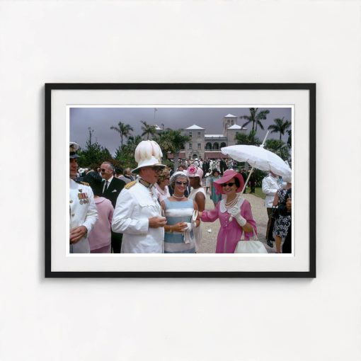 Government Party - Image 3