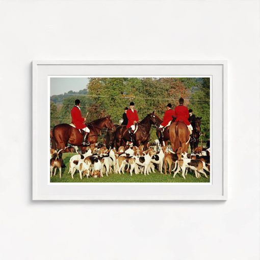 Millbrook Hunt - Image 5