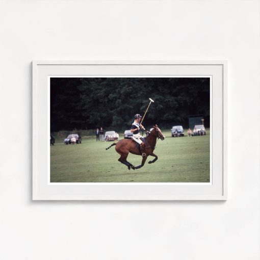 Polo Prince - Image 5