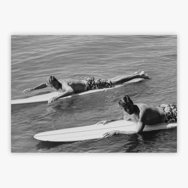 Surfing Brothers