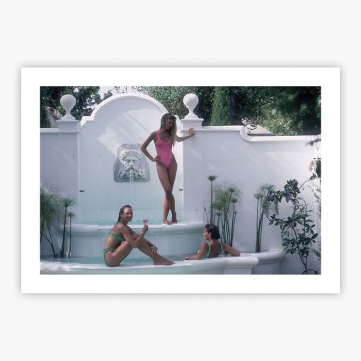 Water Nymphs - Image 2