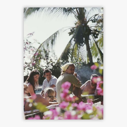 Alice In Acapulco