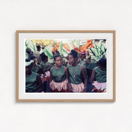 Annual Carnival in Martinique - Image 7