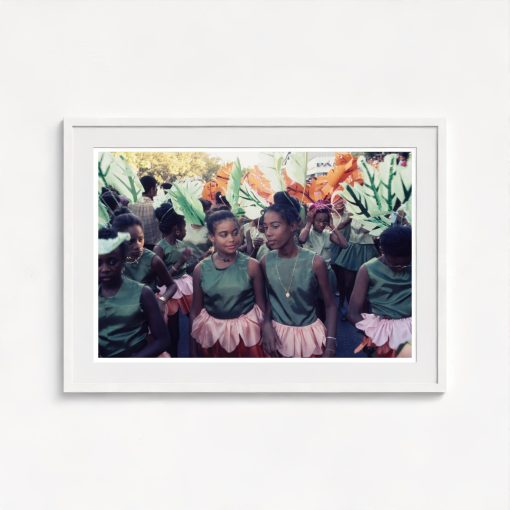Annual Carnival in Martinique - Image 5