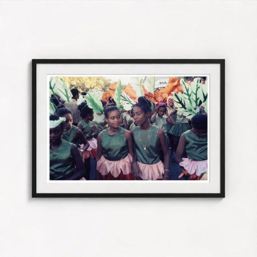 Annual Carnival in Martinique - Image 3