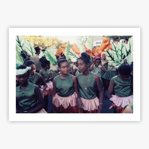 Annual Carnival in Martinique - Image 2