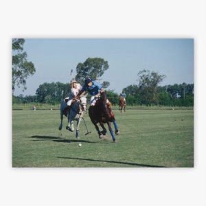 Argentine Polo Match