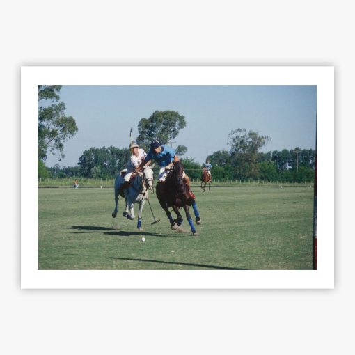 Argentine Polo Match - Image 2