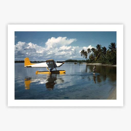 Arriving In Style - Image 2