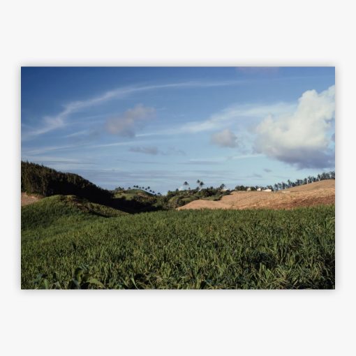 Barbados