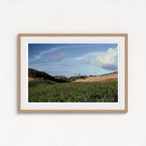 Barbados - Image 7
