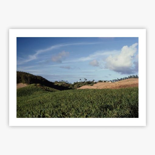 Barbados - Image 2