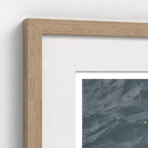 Boston Whaler - Image 8