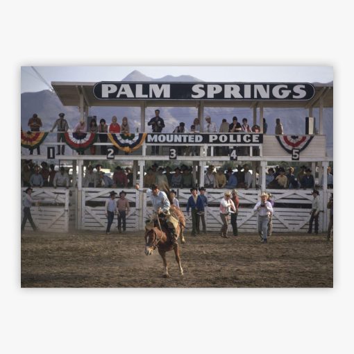 Bucking Bronco