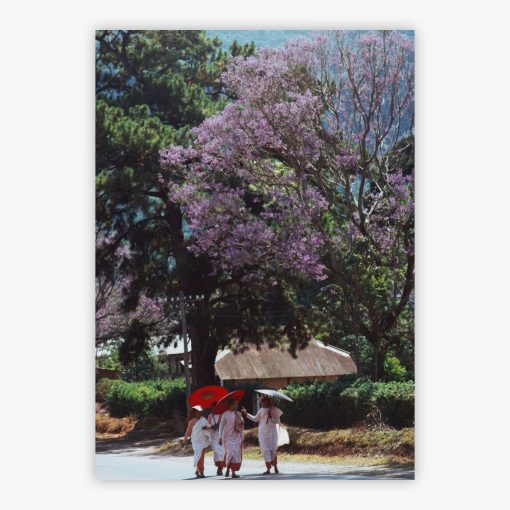 Buddhist Nuns