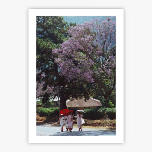Buddhist Nuns - Image 2