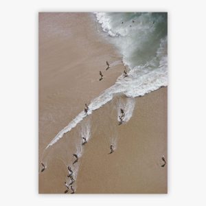 Caleta Beach