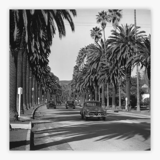 Cannon Drive