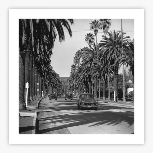 Cannon Drive - Image 2