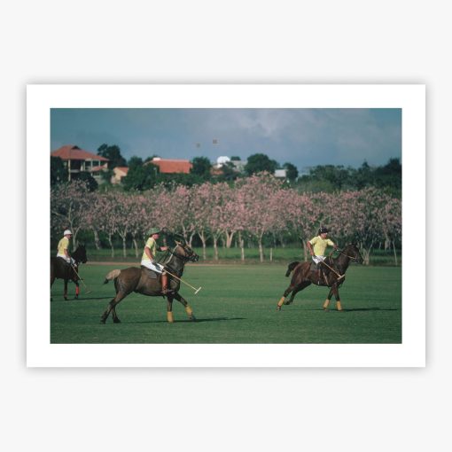 Caribbean Polo Match - Image 2