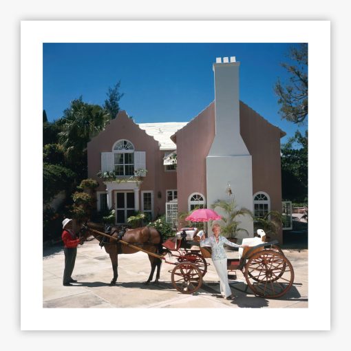 Carriage Awaits - Image 2