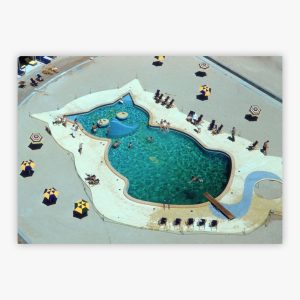 Cat-Shaped Pool