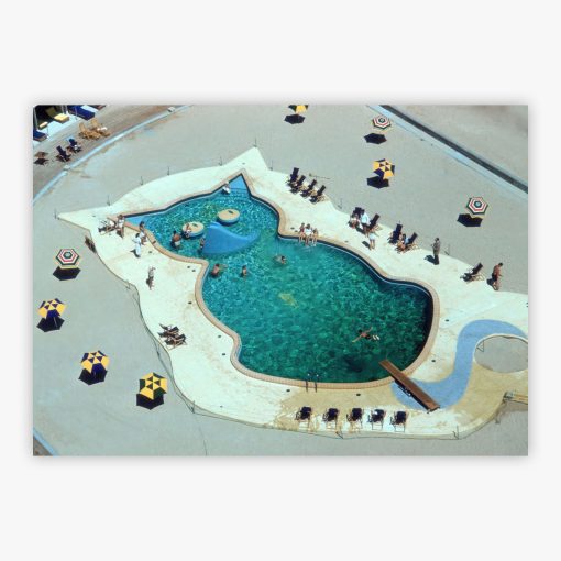 Cat-Shaped Pool