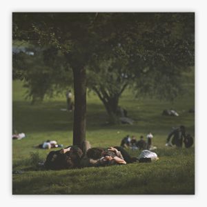 Central Park