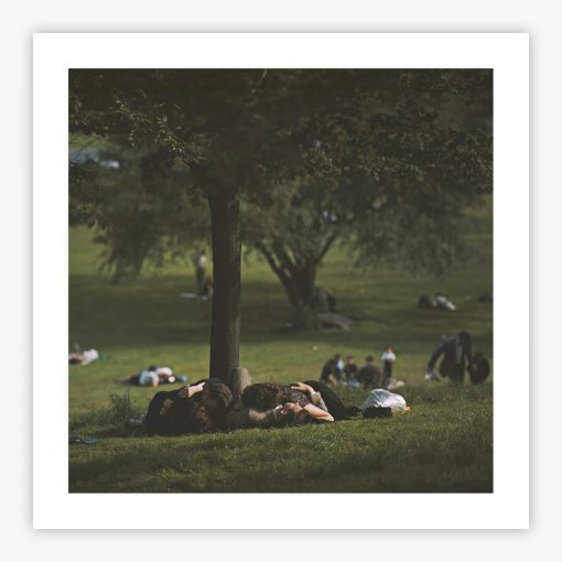 Central Park - Image 2