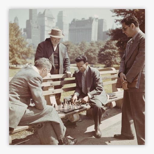 Chess In Central Park