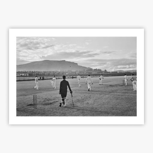 Cricket Players - Image 2